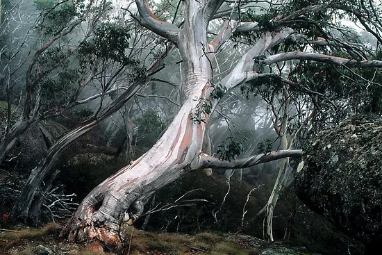 d479f083e68cab15989764e4a23de1fe